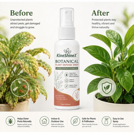 KineShineX Plant Insect Repellent Spray for Balcony Gardens and Green Plant Care - Effective against aphids, flying insects, mites, and white powder. (1/5)