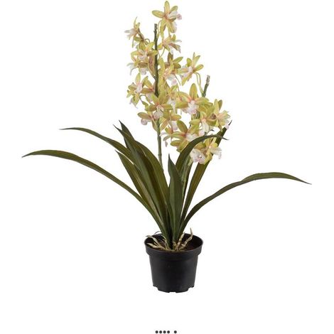 Orchidée cymbidium artificielle en pot, H 45 cm Crème vert - couleur: Crème vert