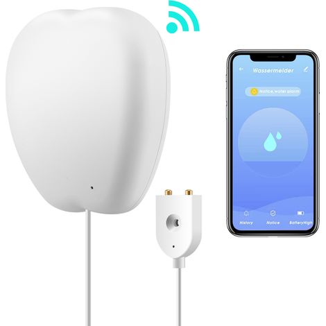 Détecteur de fuites et d'inondations intelligent Wi-Fi avec câble de 90 cm (3 pi), notification et alarme via application, compatible IFTTT, alimenté par batterie, pour cuisine, salle de bain ou sous- (1/3)