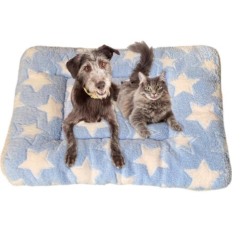 1 Couverture Apaisante Pour Chat, Flanelle Douce, Bordures Surélevées, Pour Chats Et Chiens Intérieur