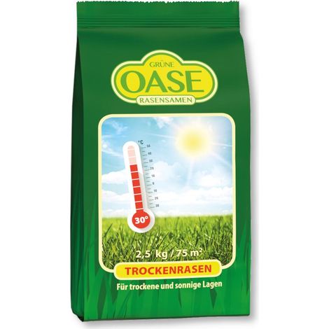 Grüne Oase Graines de gazon Gazon sec 2,5 kg à enracinement profond tolérant la sécheresse