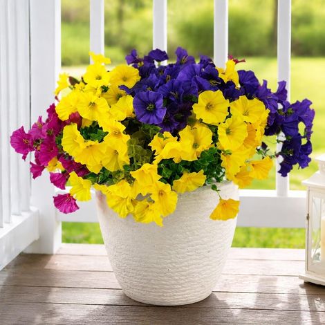 12 Fleurs Soie Extérieur UV Résistant (1/5)