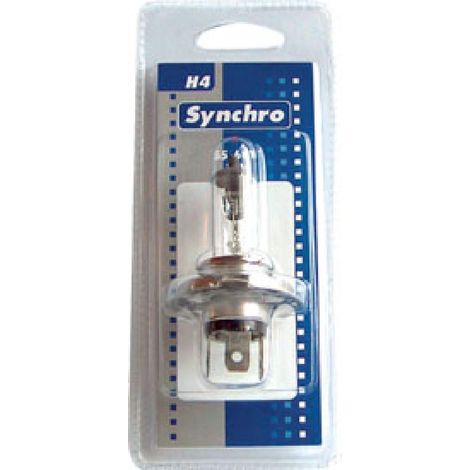 10 ampoules H4 12V 5560W