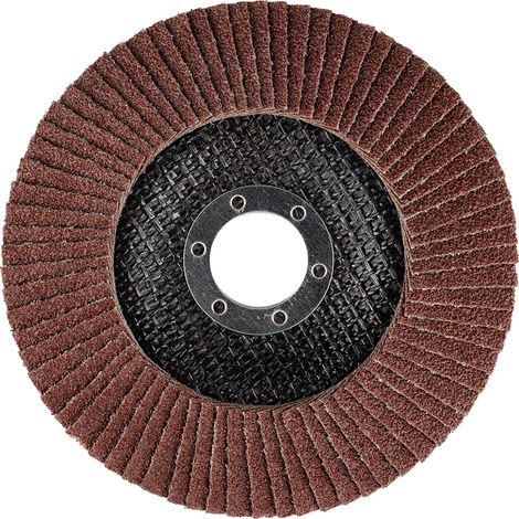 Disco lamellare 125 x 22,2 mm, P60 (1/3)