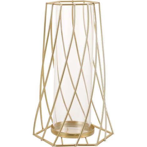 Vase Décoratif en Verre Transparent Cadre en Fer Doré, Design Géométrique en Grille, pour Fleurs Séchées et Décoration Intérieure Élégante (1/5)