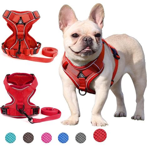Harnais pour chien de petite et moyenne taille (rouge XL)-Fei Yu