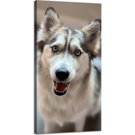 Leinwanddruck Tiere Hundeporträt 40x80 cm Hund
