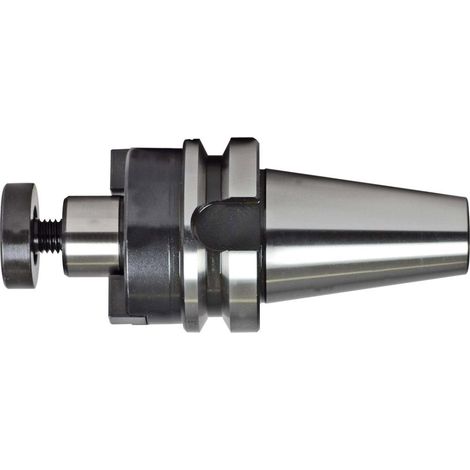 Fortis Aufsteckfräserdorn JISB6339AD A100 BT50-22 mm (1/5)