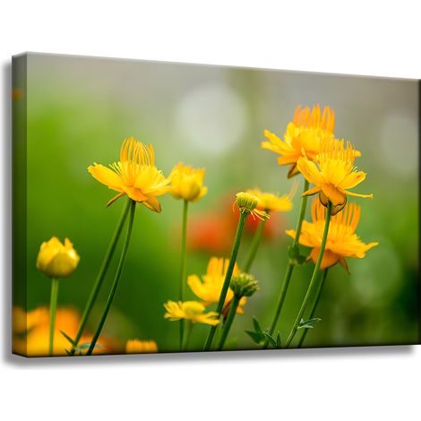 Leinwanddruck Botanik Gelbe Blumen 60x40 cm