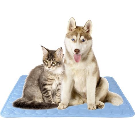 CoolCore Kühlmatte für Hunde, Kühlmatte für Katzen, Kühlkissen für Katzen und Hunde, ungiftig, blau, Größe L (1/5)