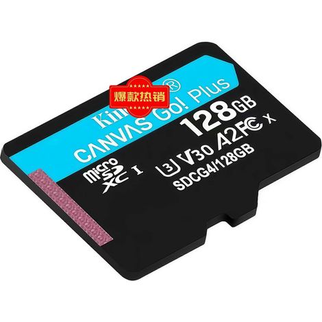 Carte mémoire Kingston Canvas Go Plus 128 Go SDCG4/128 Go microSDXC UHS-I U3 V30 A2 ( )