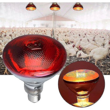 Lampe chauffante infrarouge pour volailles, incubation de chiots et porcelets, ampoule étanche (1/5)