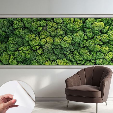 Papier peint autocollant adhésif avec imprimé motifs uniques apparence moderne Panorama forestier 250x104 cm (1/5)