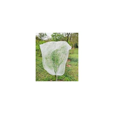 Filet AntiOiseaux pour Arbres Fruitier 1,8x1,8 m Cordon de Serrage, Polyester Durable pour Protéger les Fruits