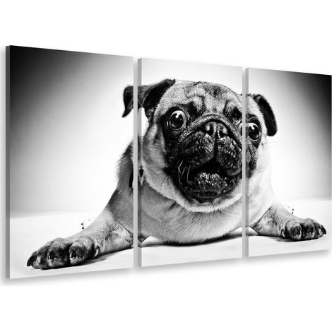 Tableau triptyque animaux carlin en noir et blanc - 90x60 cm (1/5)