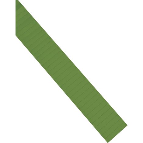 Magnetoplan ferrocard-Etiketten, grün, 80 x 15 mm