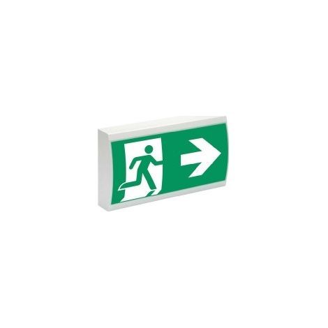 Ceag Notlichtsysteme LED-Rettungszeichenleuchte RAL7035 IP41 SV EURO 1-1/D LED (1/2)