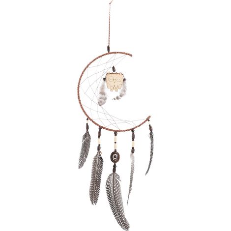 Attrape-rêves hibou à suspendre au mur, ornement en bois et plumes pour la décoration de la maison et de la chambre (1/5)