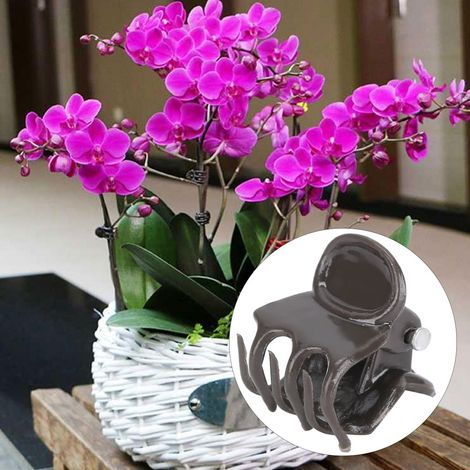 Lot de 200 pinces de fixation en plastique de 1,5 cm pour tiges de fleurs et orchidées. Outil de jardinage idéal. (1/5)