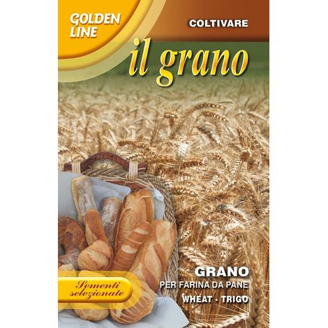 SCATOLA DA 100GR CON SEMI DI GRANO PER FARINA DA PANE FRANCHI SEMENTI