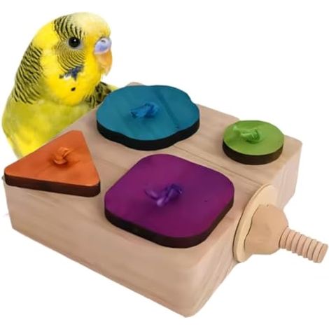 Jouet de Recherche de Nourriture pour Oiseaux, Mangeoire à Alimentation en Bois Lente, Nourriture pour Perroquets, Boîte de Recherche pour Perruches Ondulées, Conures et Inséparables (1/5)
