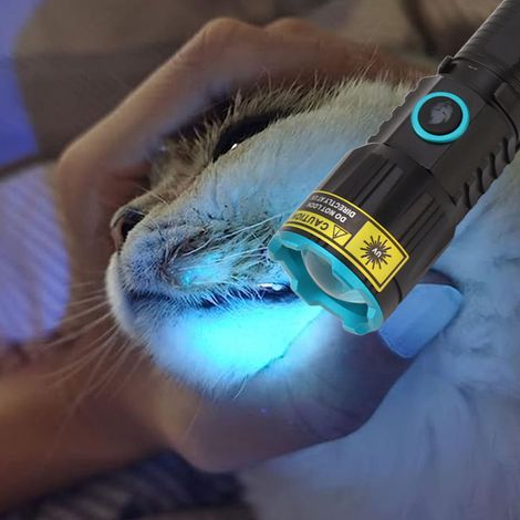 UV-Taschenlampe, wiederaufladbares Schwarzlicht (365 nm), tragbarer Mini-LED-Detektor für Harnwegsinfektionen bei Haustieren, harzgehärtet, Taschenformat mit Clip. (1/5)