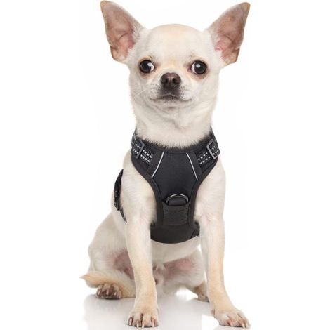 Harnais Chien Anti Traction Noir XS, Harnais Chien avec Poignée Facile à Mettre, Gilet Réglable Réfléchissant pour Chiot Attache Devant Crochet de Laisse pour Marche Randonnée Voyage (1/5)