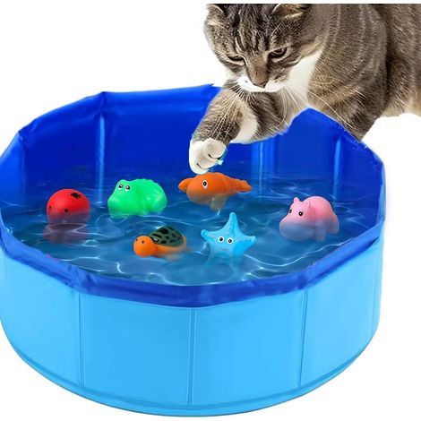 Cat toy pool with plastic fish (1/5)