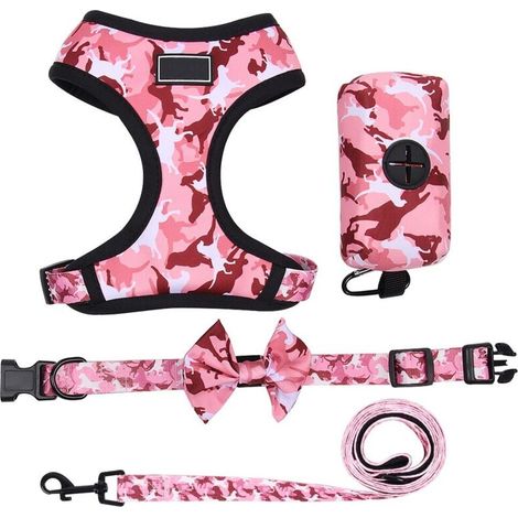 Ensemble bretelles, laisses, colliers, sacs à main pour chien, S (1/3)