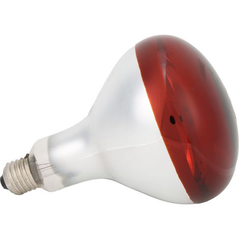 Ampoule chauffante infrarouge pour poussins, lampe chauffante rouge pour reptiles, idéale pour couveuse (220 V / 250 W). (1/5)