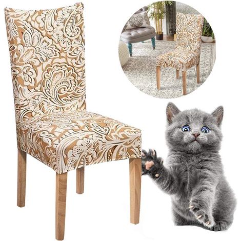 Housses de chaises, lot de 4 ou 6, élastiques et universelles pour chaises de salle à manger (1/5)