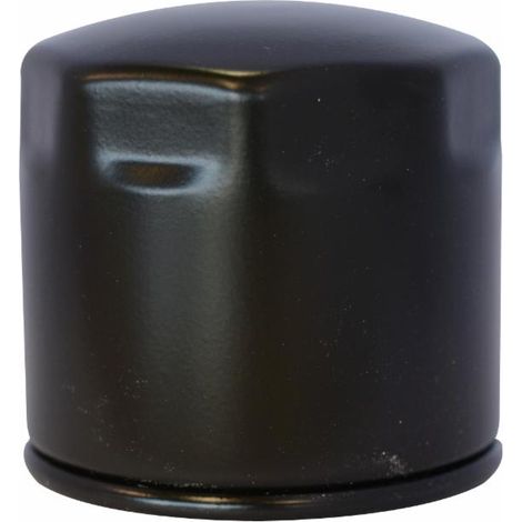 Filtro nafta adattabile al riferimento originale Kubota 15221-43080