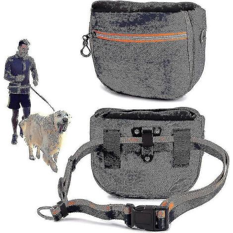 Pochette à friandises pour chien, sac de dressage avec ceinture ajustable et distributeur de sacs à déjections canines intégré, sac de promenade portable à fermeture automatique, 4 en 1 (1/5)
