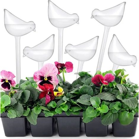 globes darrosage pour plantes B (1/5)