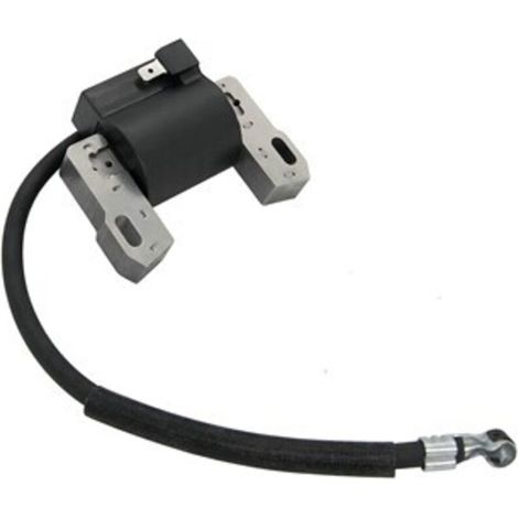 Bobine d'allumage compatible avec 691060 592846 799651 499447 (1/4)