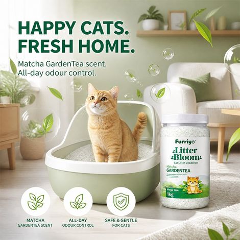 Geruchsneutralisierendes Katzenstreupulver, Helfer für die Katzentoilette, Geruchsbeseitigung und -neutralisierung, Reinigung der Katzentoilette – Geruchsneutralisierendes Katzenstreupulver -- BIEMMED (1/4)