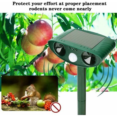 Energie solaire Répulsif à ultrasons chat répulsif animal répulsif animaux pour le jardin pour chasser les chats, chiens, oiseaux, martres (1/5)