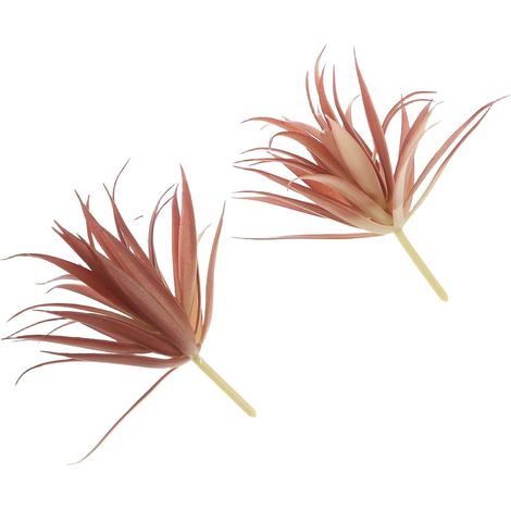 2pcs Realistic Artificial Succulent Plants in Red Plastic, Easy Care, Wall and Floral Decor for Home or Office (1/5)