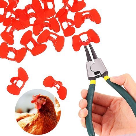 Ensemble de 21 pièces de protection oculaire sans clous pour poulets, avec pince, lunettes anti-picage pour faisans et volailles. (1/5)