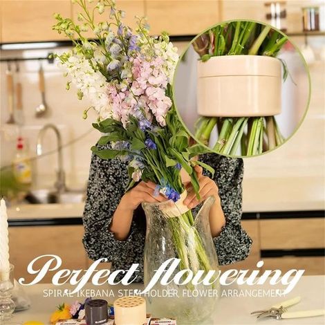 4er-Pack spiralförmige Ikebana-Stielhalter für Blumen – Blumengitter für Vasen – Blumenformer – Zubehör für Blumenarrangements – Blumenigel für Vasen (1/4)