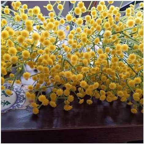 TAISHENGDA – 10 fiori artificiali di gypsophila, bouquet sfuso di gypsophila bianca per ghirlande nuziali, feste in casa, decorazioni da giardino, giallo (1/5)