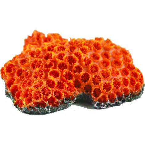 1 ornements d'aquarium, récif corallien en résine, décor aquatique pour eau douce et salée, abri pour poissons, dimensions 13 cm x 10 cm x 7 cm (1/5)