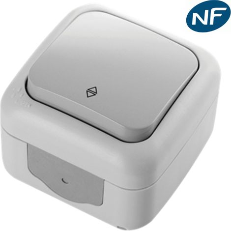 Va et vient étanche IP54 - Viko by Panasonic - Gris - NF (1/4)