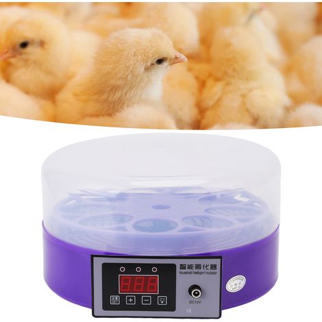 Incubateur intelligent pour poussins de 9 œufs (norme américaine DC12V 110-240V) avec contrôle automatique de la température pour cailles (1/5)