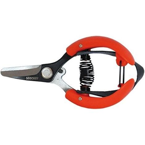 FORBICE COGLI AGRUMI LAMA CURVA CON CINGHIA CM.10 STOCKER (30854)