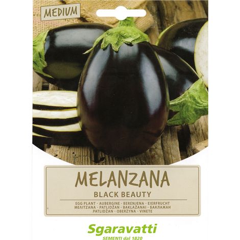 SEMI PER ORTAGGI E VEGETALI melanzana black beauty Q.TA 20 melanzana black beauty
