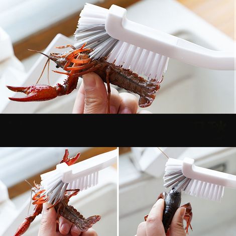 Brosette de Nettoyage pour Cuisine - Brosse à Poils Souples - Conception Ergonomique et Matière Résistante - Pour Récipient, Machines et Équipements Culinaires (1/5)