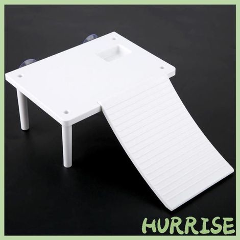 Plate-forme de repos pour tortues, quai flottant pour reptiles, avec échelle d'escalade et récipient de nourriture pour Aquarium, (1/4)