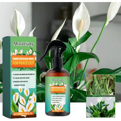 Engrais pour lys en spray - Spray nutritif pour la culture des lys en intérieur et en extérieur - 100 ml (1/5)