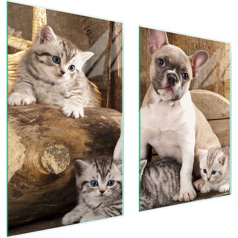 PLACA PROTECTORA DE VIDRIO PARA COCINA 65x52 PERRO (1/5)